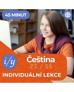 Online doučování z češtiny - individuální lekce (45 minut)