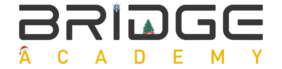 Celoživotní vzdělávání na dosah s Bridge Academy